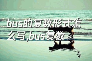 bus的复数形式怎么写（bus复数）