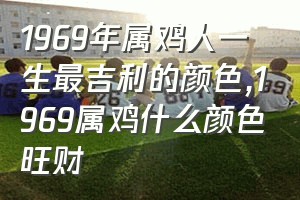 1969年属鸡人一生最吉利的颜色（1969属鸡什么颜色旺财）