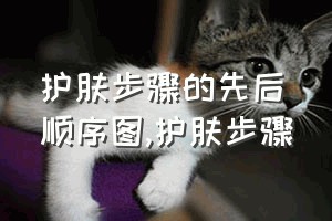 护肤步骤的先后顺序图（护肤步骤）