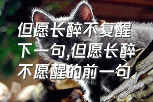 但愿长醉不复醒下一句（但愿长醉不愿醒的前一句）