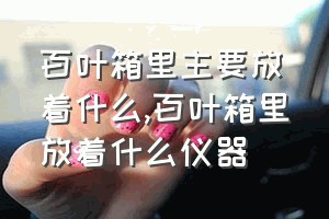 百叶箱里主要放着什么（百叶箱里放着什么仪器）