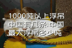 1000吨以上浮吊中国有几条（中国最大浮吊多少吨）