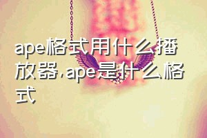 ape格式用什么播放器（ape是什么格式）