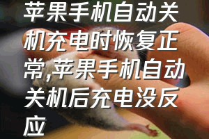 苹果手机自动关机充电时恢复正常（苹果手机自动关机后充电没反应）