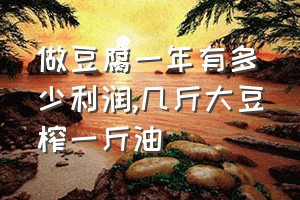 做豆腐一年有多少利润（几斤大豆榨一斤油）