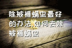 除被褥螨虫最好的办法（如何去除被褥螨虫）