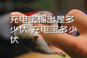 充电宝输出是多少伏（充电宝多少伏）