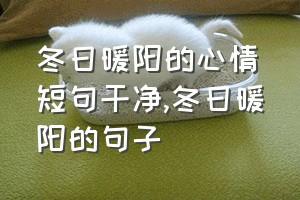 冬日暖阳的心情短句干净（冬日暖阳的句子）