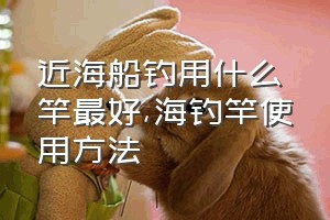 近海船钓用什么竿最好（海钓竿使用方法）