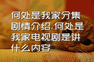 何处是我家分集剧情介绍（何处是我家电视剧是讲什么内容）