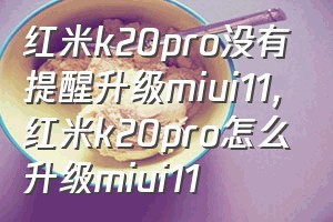 红米k20pro没有提醒升级miui11（红米k20pro怎么升级miui11）