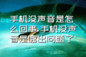 手机没声音是怎么回事（手机没声音是哪出问题了）