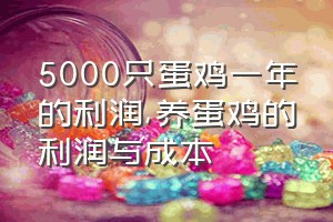 5000只蛋鸡一年的利润（养蛋鸡的利润与成本）