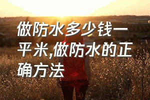 做防水多少钱一平米（做防水的正确方法）