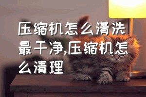 压缩机怎么清洗最干净（压缩机怎么清理）