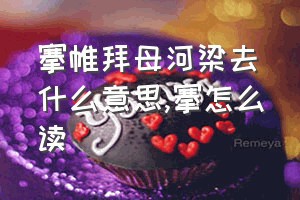 搴帷拜母河梁去什么意思（搴怎么读）