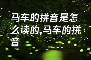 马车的拼音是怎么读的（马车的拼音）