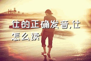 仕的正确发音（仕怎么读）