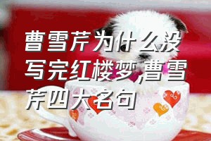 曹雪芹为什么没写完红楼梦（曹雪芹四大名句）