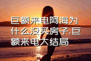 巨额来电阿海为什么没买房子（巨额来电大结局）