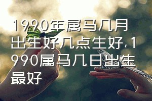 1990年属马几月出生好几点生好（1990属马几日出生最好）