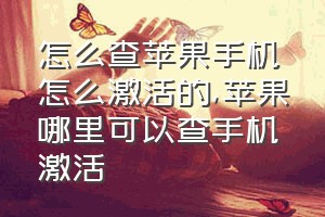 怎么查苹果手机怎么激活的（苹果哪里可以查手机激活）