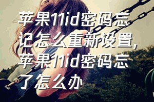 苹果11id密码忘记怎么重新设置（苹果11id密码忘了怎么办）