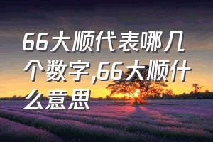 66大顺代表哪几个数字（66大顺什么意思）