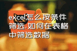 excel怎么按条件筛选（如何在表格中筛选数据）