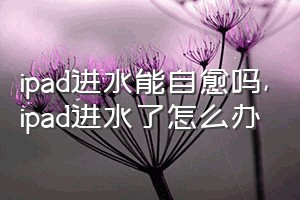 ipad进水能自愈吗（ipad进水了怎么办）