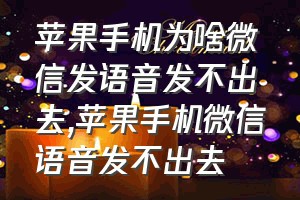 苹果手机为啥微信发语音发不出去（苹果手机微信语音发不出去）