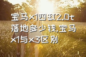 宝马x1四缸2.0t落地多少钱（宝马x1与x3区别）