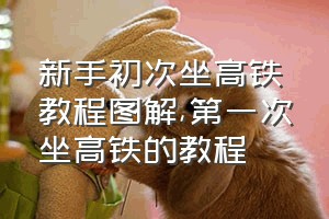 新手初次坐高铁教程图解（第一次坐高铁的教程）