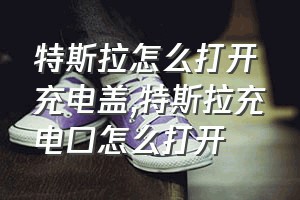 特斯拉怎么打开充电盖（特斯拉充电口怎么打开）