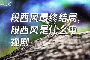 段西风最终结局（段西风是什么电视剧）