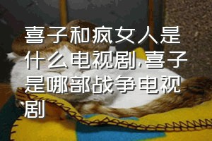 喜子和疯女人是什么电视剧（喜子是哪部战争电视剧）