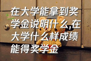 在大学能拿到奖学金说明什么（在大学什么样成绩能得奖学金）