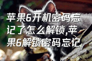 苹果6开机密码忘记了怎么解锁（苹果6解锁密码忘记）