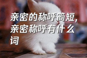 亲密的称呼简短（亲密称呼有什么词）