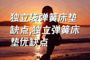 独立袋弹簧床垫缺点（独立弹簧床垫优缺点）