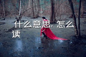 聲什么意思（聲怎么读）