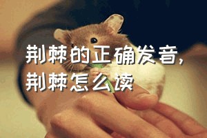 荆棘的正确发音（荆棘怎么读）