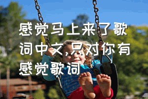 感觉马上来了歌词中文（只对你有感觉歌词）