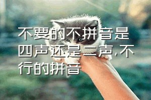 不要的不拼音是四声还是二声（不行的拼音）