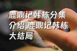 鹿鼎记韩栋分集介绍（鹿鼎记韩栋大结局）