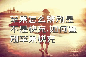 苹果怎么辨别是不是快充（如何鉴别苹果快充）