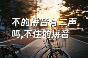 不的拼音有二声吗（不住的拼音）