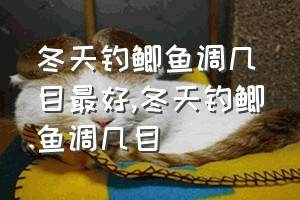 冬天钓鲫鱼调几目最好（冬天钓鲫鱼调几目）