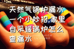 天然气锅炉漏水一个小妙招（家里自采暖锅炉怎么查漏水）