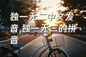 独一无二中文发音（独一无二的拼音）